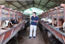 Pusat Pembibitan Domba Garut, Guntur Subagja dan Korporasi Peternak