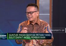 Antara Petani, Dua Sisi Tengkulak dan Inklusi Keuangan